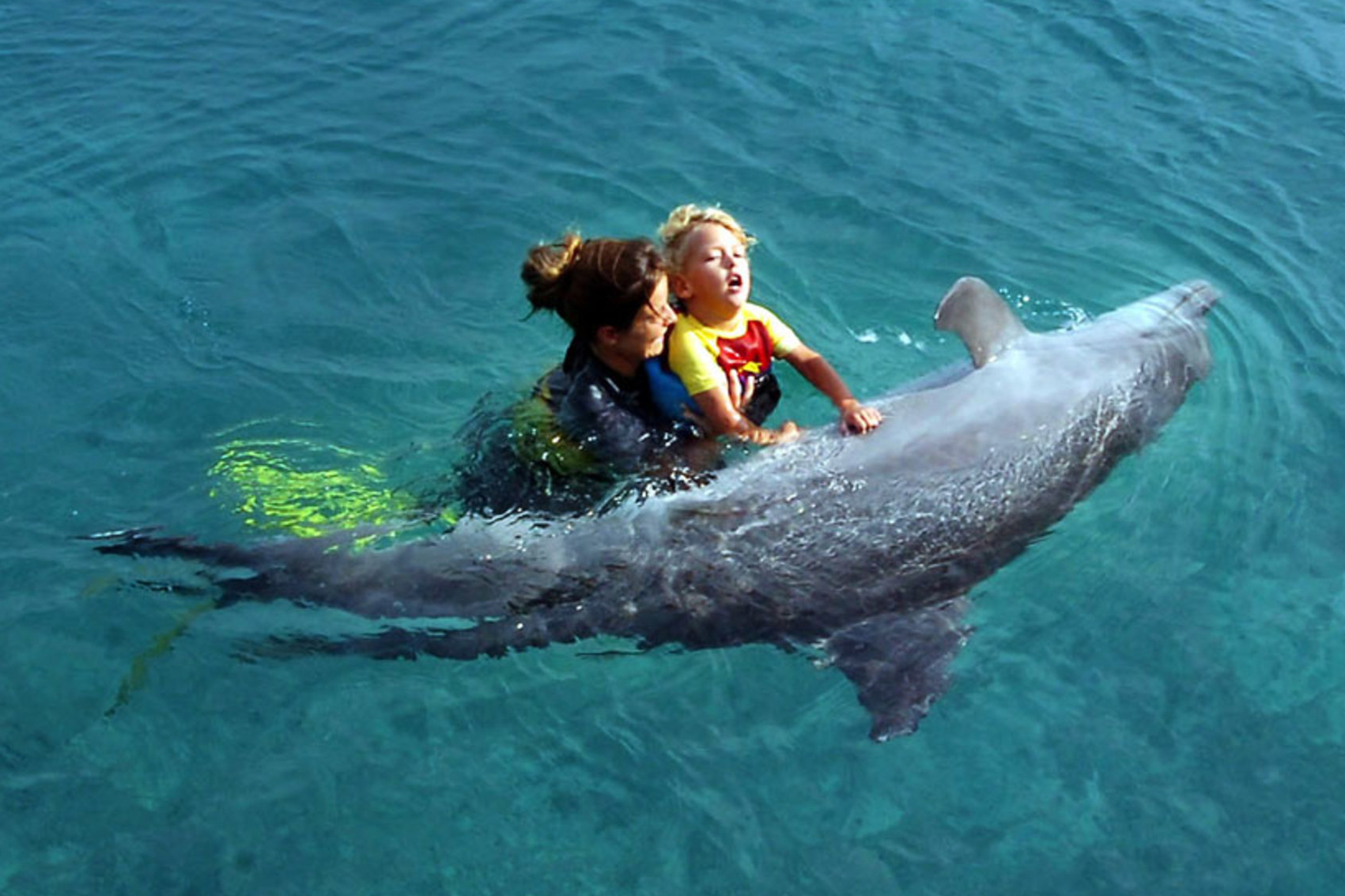 العلاج بالدولفين Dolphin Therapy