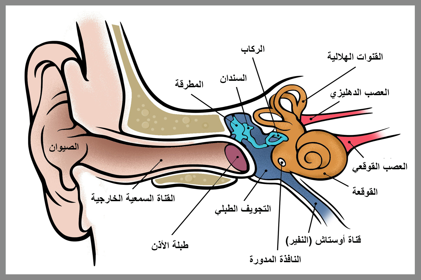 صعوبة عملية انزلاق طبقات الأيونات في الفلز عند تعرضها للطرق، والسحب.