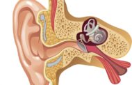 كيس اللمف الباطن في الأذن الداخلية