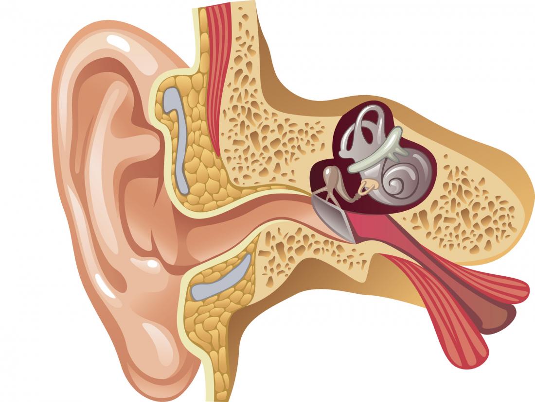 كيس اللمف الباطن في الأذن الداخلية