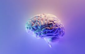 الوظائف العليا في المخ – السلوك المكاني (ج2)