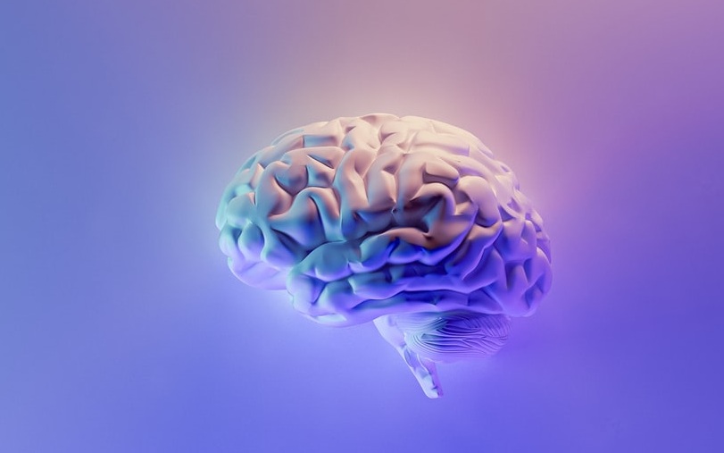 الوظائف العليا للمخ (الذاكرة) – ج3