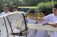 Horseback riding as autism treatment