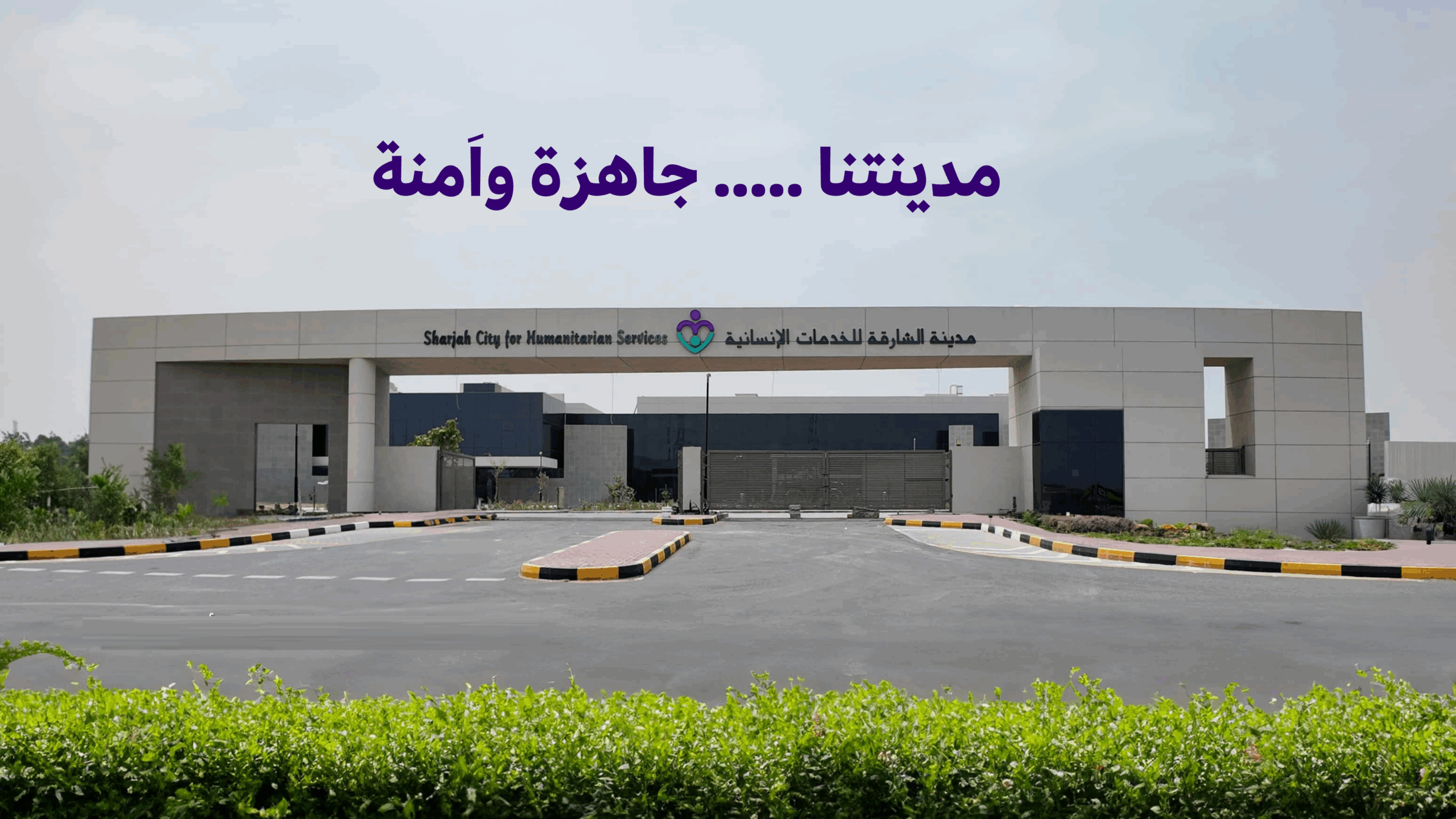 عندما تتحول الأزمات إلى فرص للريادة